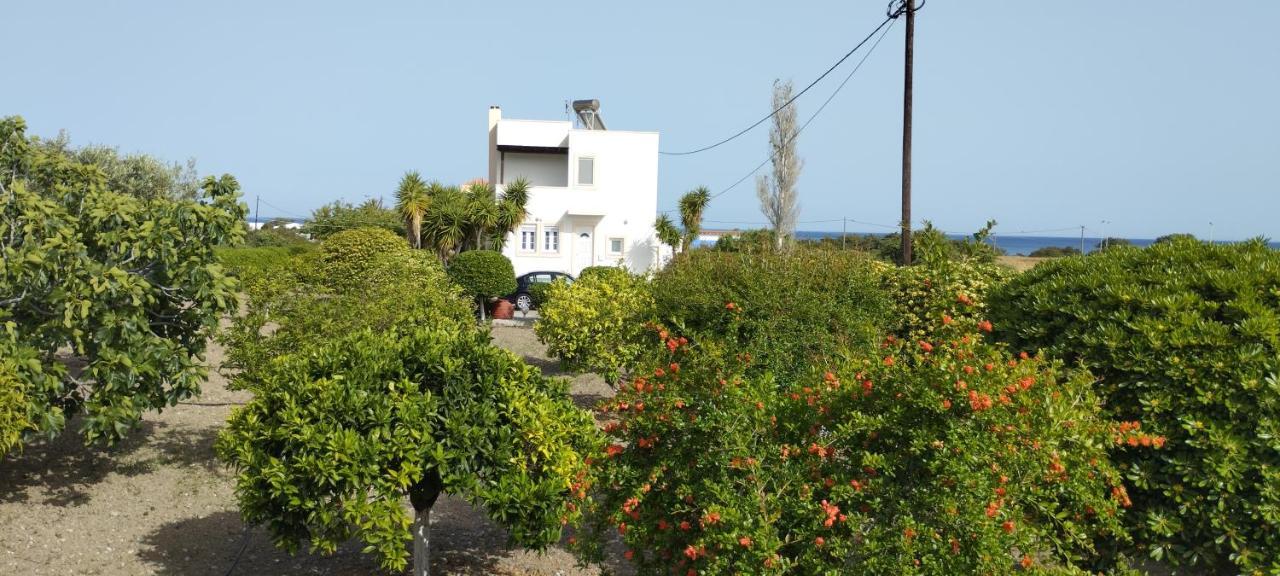 Aphrodite Villa Gennadi Dış mekan fotoğraf