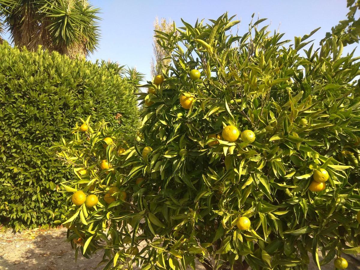 Aphrodite Villa Gennadi Dış mekan fotoğraf